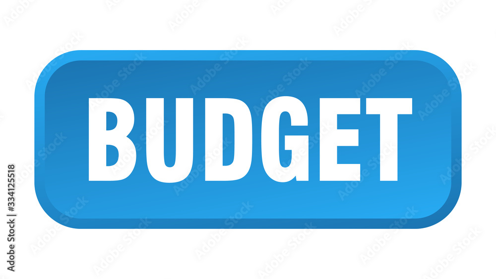 budget button. budget square 3d push button budget button. budget square 3d push button