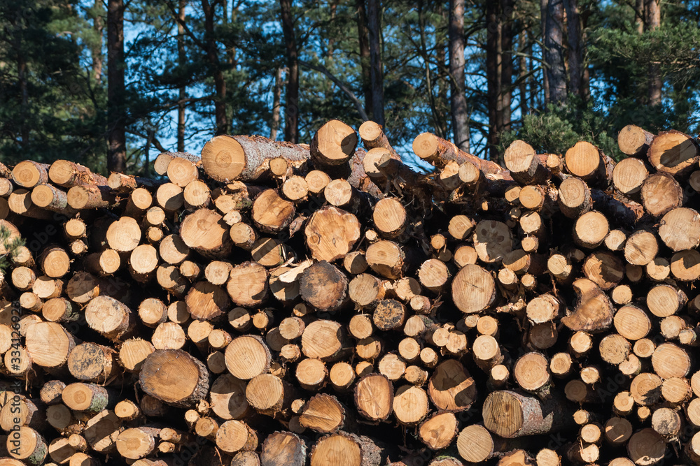 Pulpwood biomass stacked in a logpile