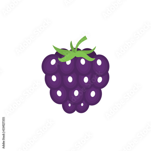 Blackberry isolated icon on a white background.