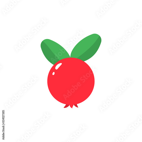 Cranberry isolated icon on a white background.