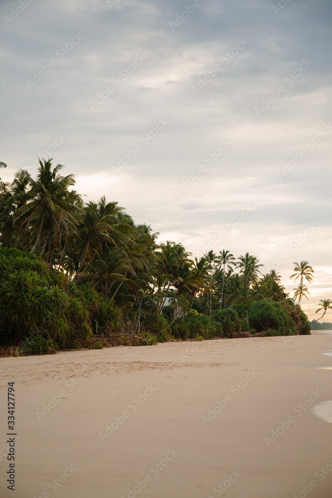 Tropical Sri Lankan beach with coconut trees at sunrise Tropical Sri Lankan beach with coconut trees at sunrise
