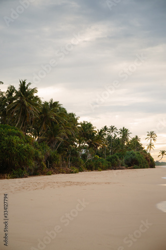  Tropical Sri Lankan beach with coconut trees at sunrise