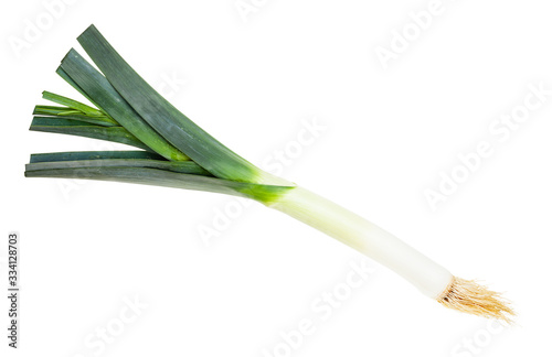 fresh leek with roots isolated on white photo