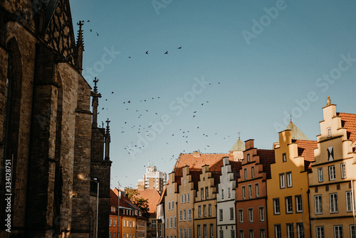 fliegende vögel vor blauen Himmel in der Stadt Osnabrück