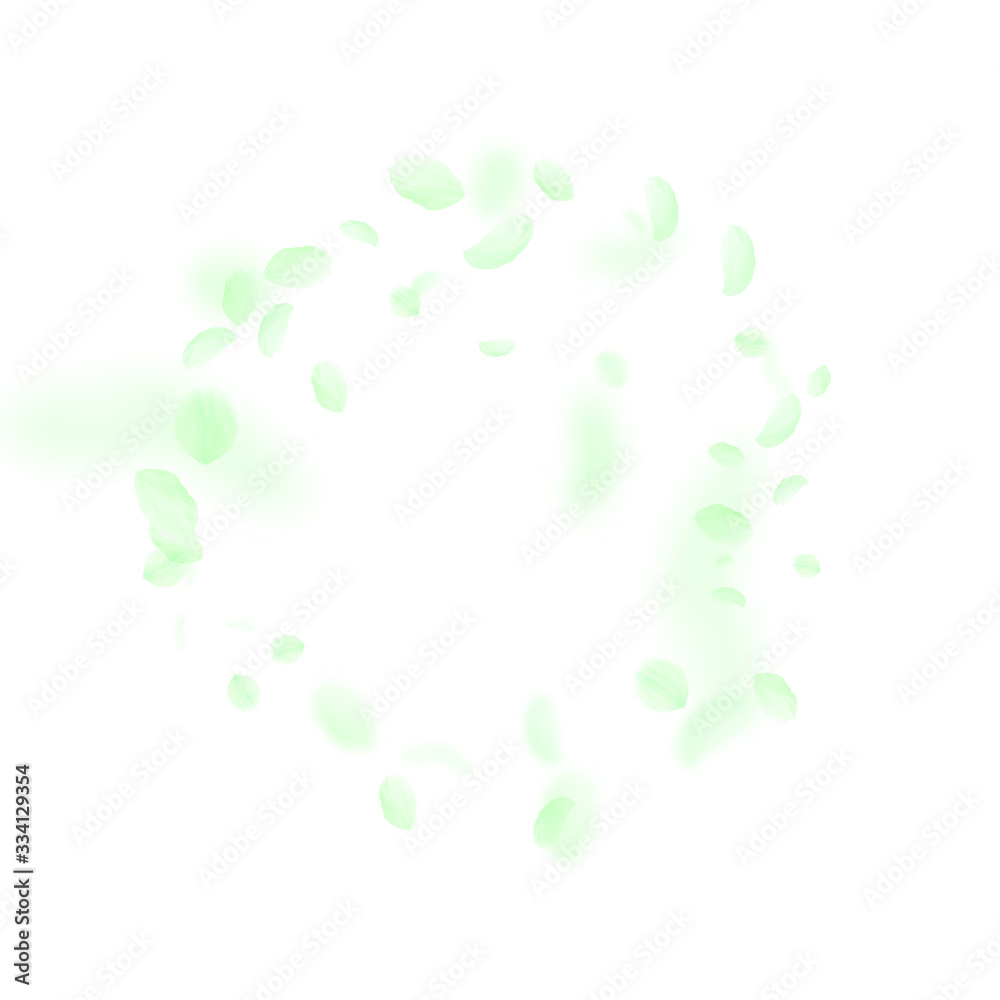 Green flower petals falling down. Superb romantic Green flower petals falling down. Superb romantic