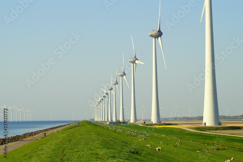 Energienutzung - Am Meer gibt es immer genug Wind 