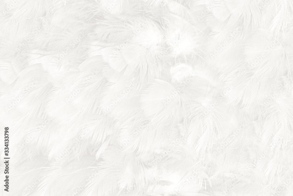Obraz premium Beautiful white feather wooly pattern texture background