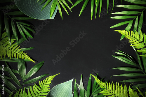 Fototapeta Naklejka Na Ścianę i Meble -  Leaves background