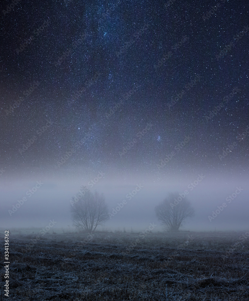 Night spooky landscape with foggy fields