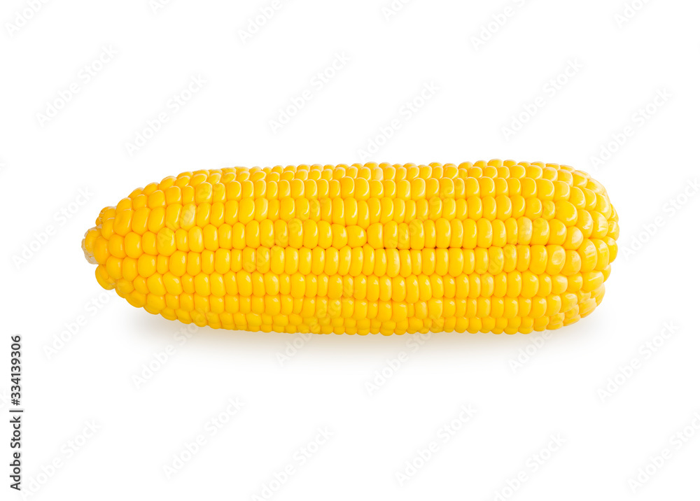 sweet corn isolated on white background with clipping path sweet corn isolated on white background with clipping path