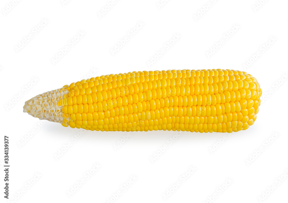 sweet corn isolated on white background with clipping path sweet corn isolated on white background with clipping path