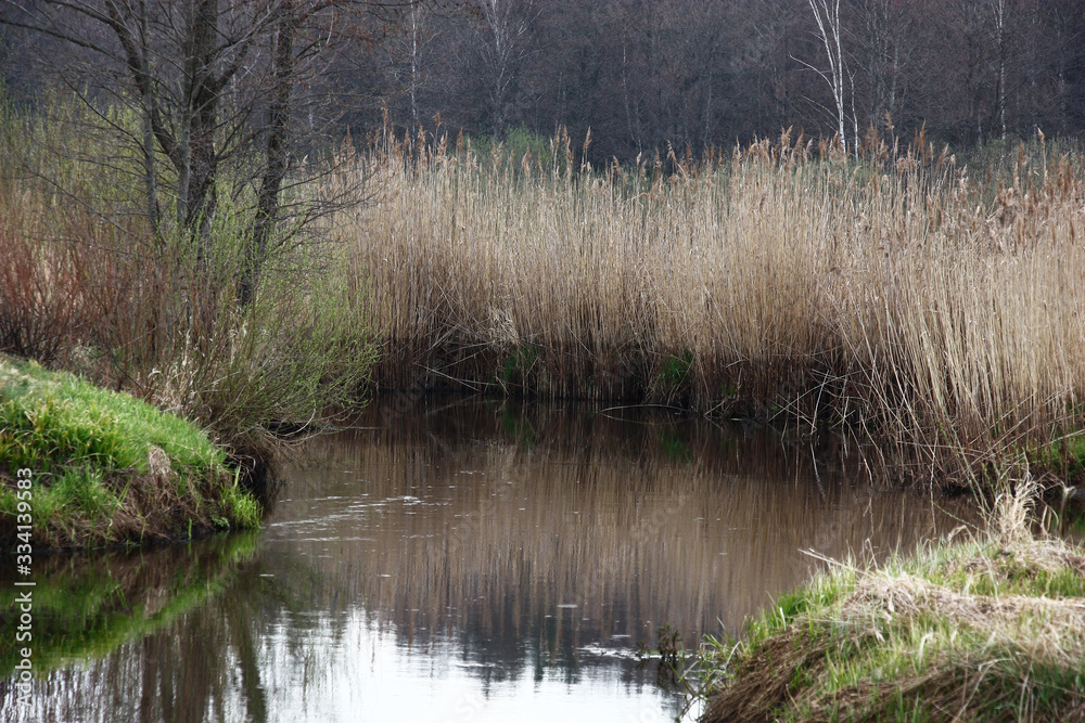 Spring april morning on the small river. On the distant coast there is dry reed. The trace on reed shows water recession. Spring april morning on the small river. On the distant coast there is dry reed. The trace on reed shows water recession.