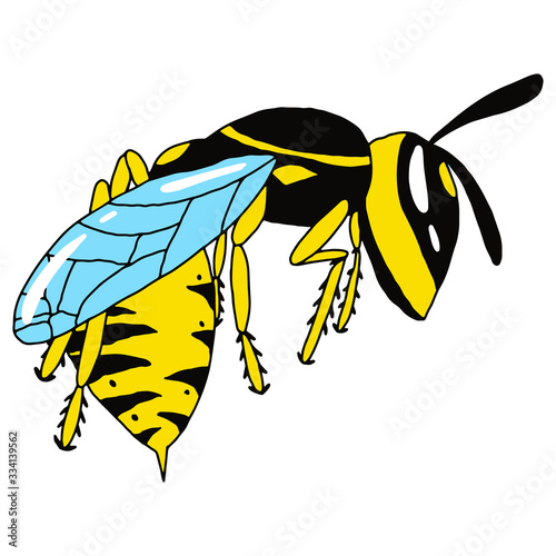 Wasp side view on an isolated white background. Insect in cartoon style. Stock vector illustration.