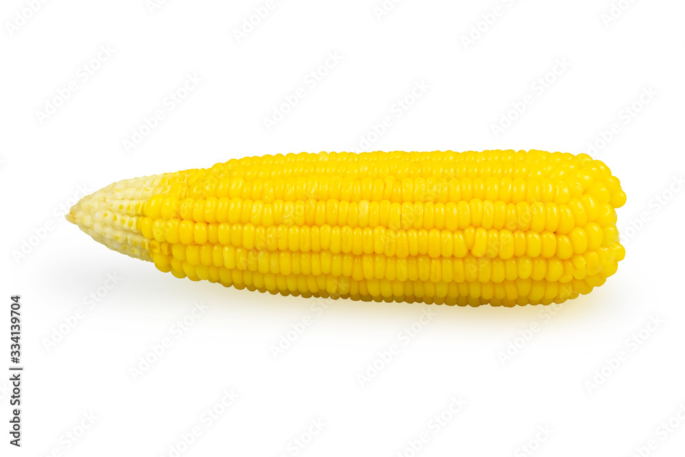sweet corn isolated on white background with clipping path sweet corn isolated on white background with clipping path