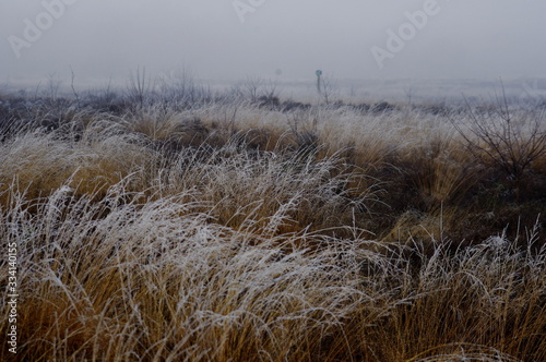 hazy grass and sky
