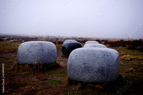 sculture in plains