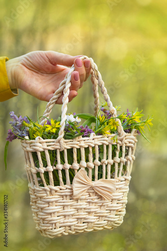 Spring background with forest flowers. Spring multi-colored flowers. Basket of spring flowers