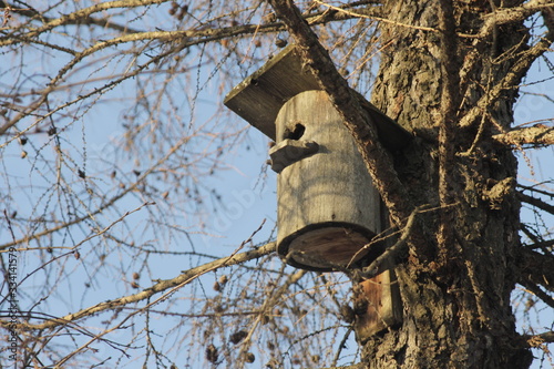 birdhouse hanging on a tree in the morning sun