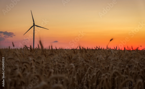 Wind turbines and agricultural field on a summer day. Energy production, clean and renewable energy.
