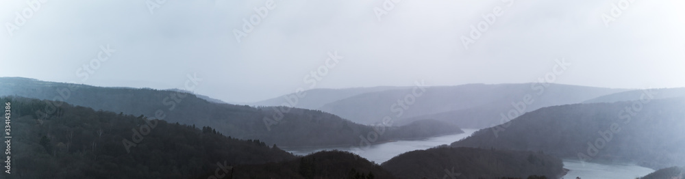 Vogelsang bei Nebel