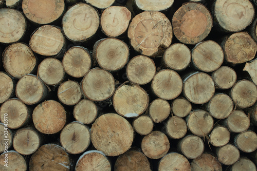 Firewood stacked woodpile.
