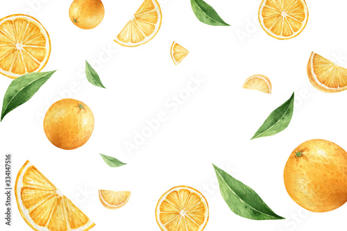 Watercolor vector hand painted card from orange fruits.