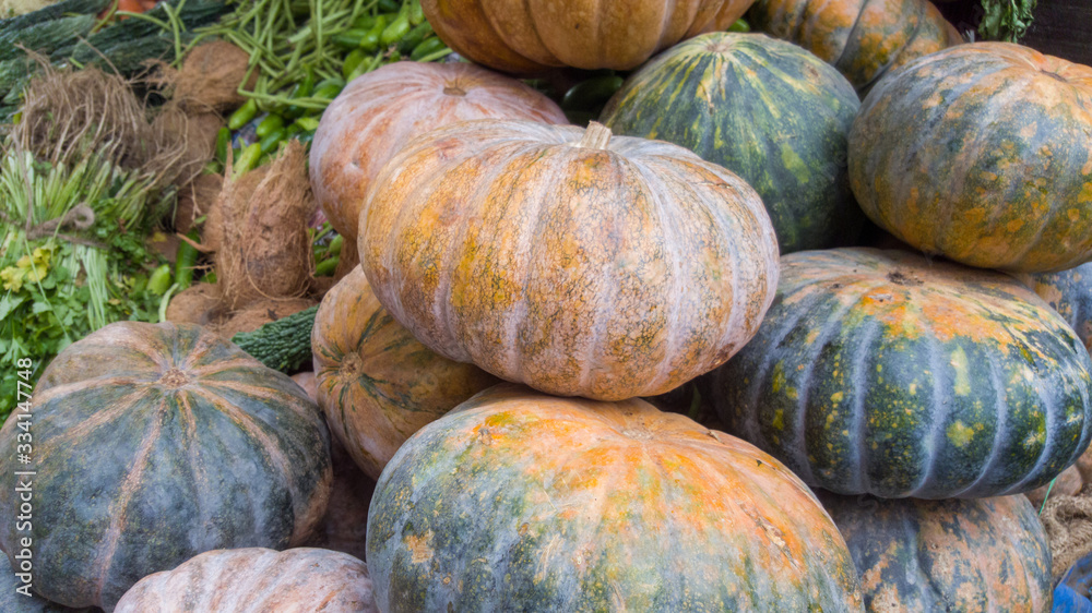 pumpkins and gourds pumpkins and gourds
