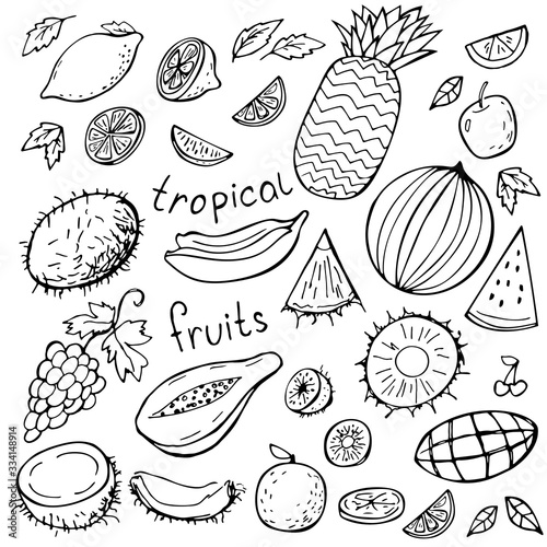 Set of tropical doodles fruits isolated on white. Vector illustration. Perfect for greeting card  postcard  print  coloring book.