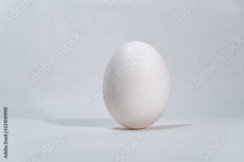 Close up view of white chicken egg standing vertically isolated on white background.