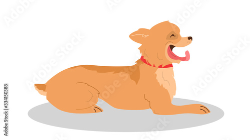 Cute yawning sleepy dog. Purebread dog of various breed lying.
