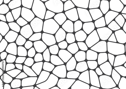 Seamless line texture. Abstract pattern with crossing thin straight lines. White background. Animal skin.