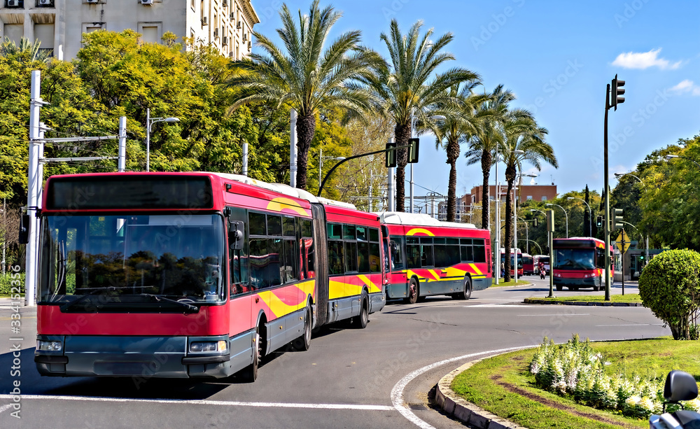 Naklejka premium Ir a la página|12345...10Siguiente Double articulated buses transport locals and tourists in downtown Seville, Spain.
