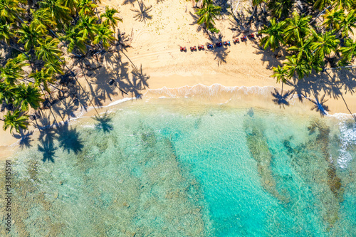 Aerial drone view of beautiful wild caribbean tropical beach with palms and quad bikes. Dominican Republic. Vacation background. © Nikolay N. Antonov