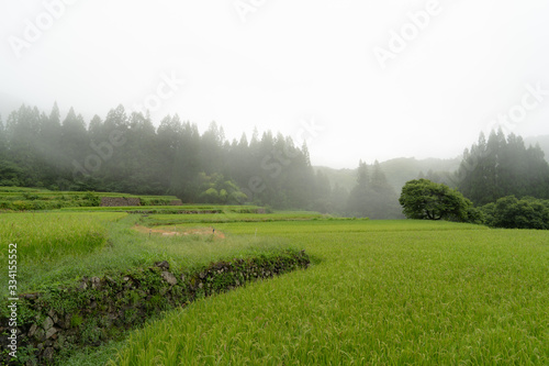 霧深い棚田のある日本の原風景