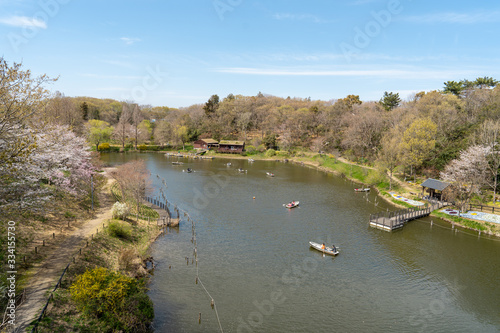 ボートのある公園と空と桜
