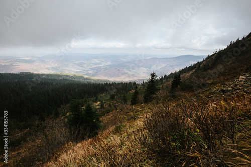 Fototapeta Naklejka Na Ścianę i Meble -  Beautiful autumn foggy Babia Gora
