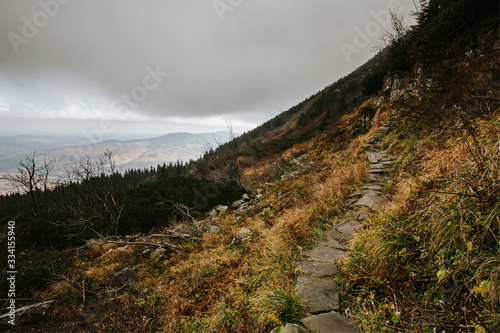 Fototapeta Naklejka Na Ścianę i Meble -  Beautiful autumn foggy Babia Gora