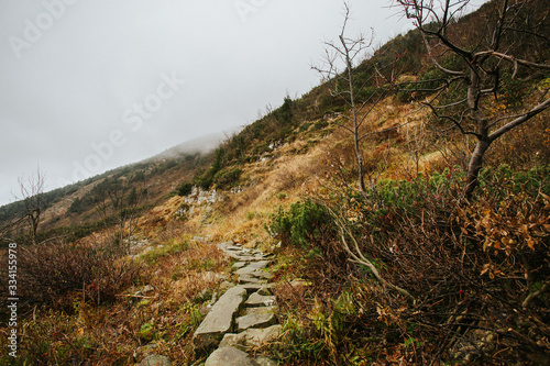 Fototapeta Naklejka Na Ścianę i Meble -  Beautiful autumn foggy Babia Gora