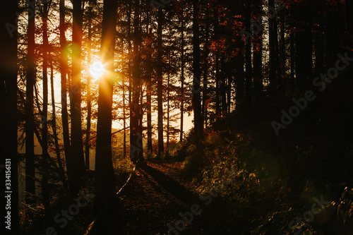 Fototapeta Naklejka Na Ścianę i Meble -  Beautiful autumn sunny Babia Gora