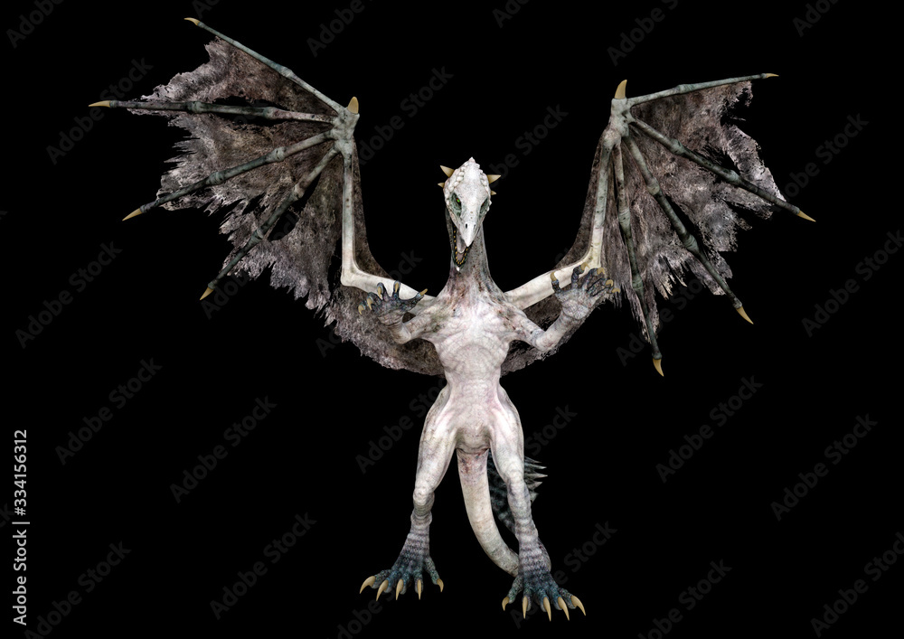 Fototapeta premium 3D Rendering Fairy Tale Dragon on Black