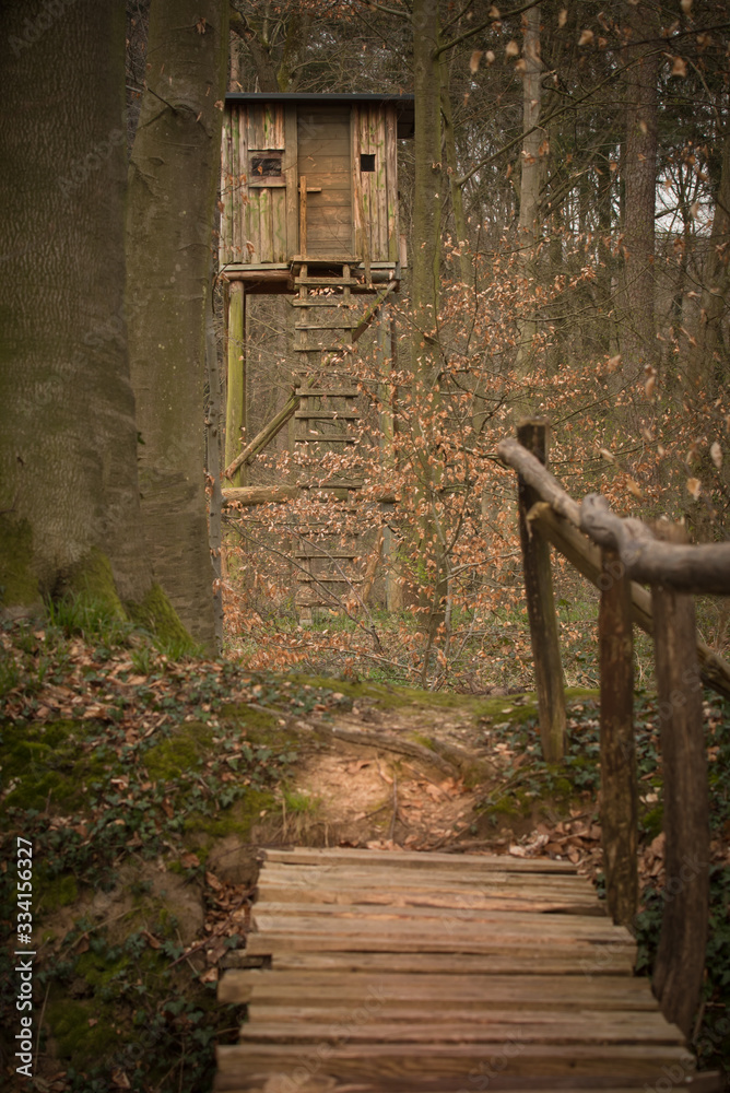 Jägerhochstand im Wald mit Holzbrücke im Vordergrund