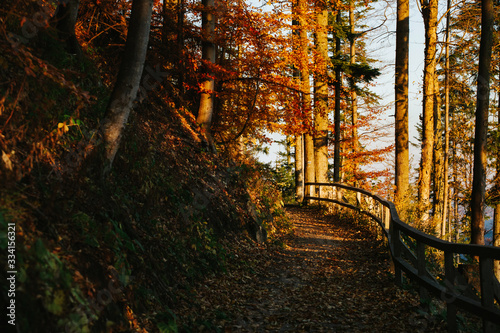Fototapeta Naklejka Na Ścianę i Meble -  Beautiful autumn sunny Babia Gora