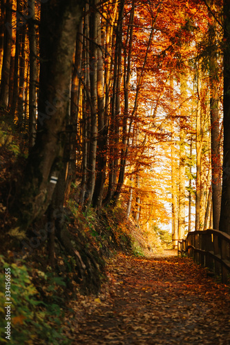 Fototapeta Naklejka Na Ścianę i Meble -  Beautiful autumn sunny Babia Gora