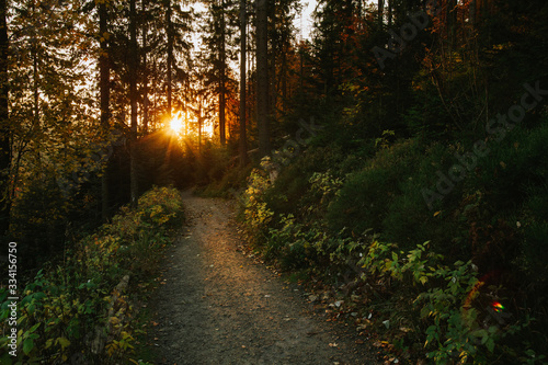 Fototapeta Naklejka Na Ścianę i Meble -  Beautiful autumn sunny Babia Gora