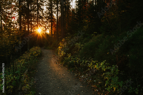 Fototapeta Naklejka Na Ścianę i Meble -  Beautiful autumn sunny Babia Gora