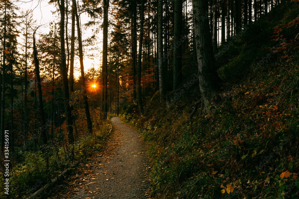 Fototapeta premium Beautiful autumn sunny Babia Gora