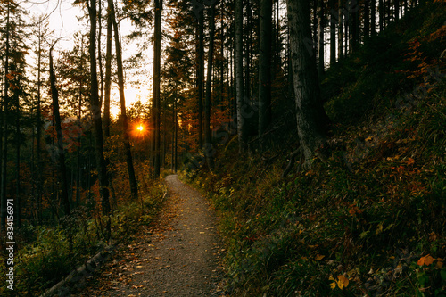 Fototapeta Naklejka Na Ścianę i Meble -  Beautiful autumn sunny Babia Gora