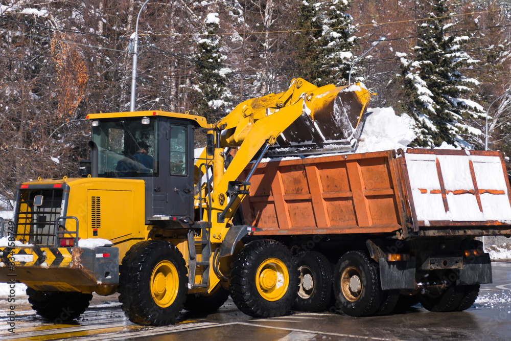 Tractor removing snow after snowfall. Winter season. Snow clearing. Wheelloader is unloading snow in to truck.