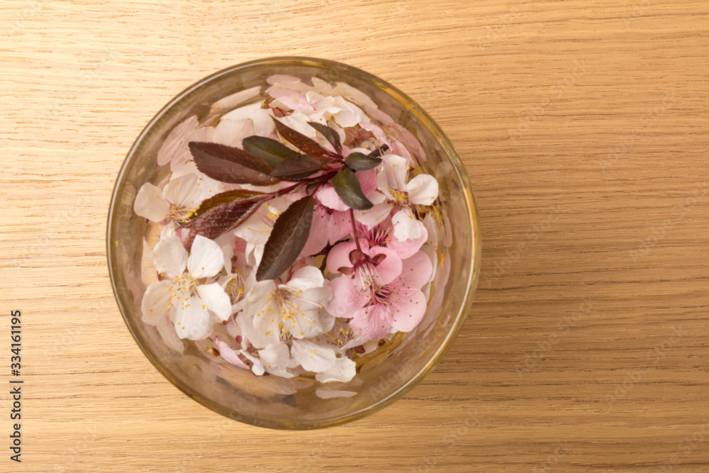 Cherry blossom , pink sakura flower isolated on wooden background Cherry blossom , pink sakura flower isolated on wooden background