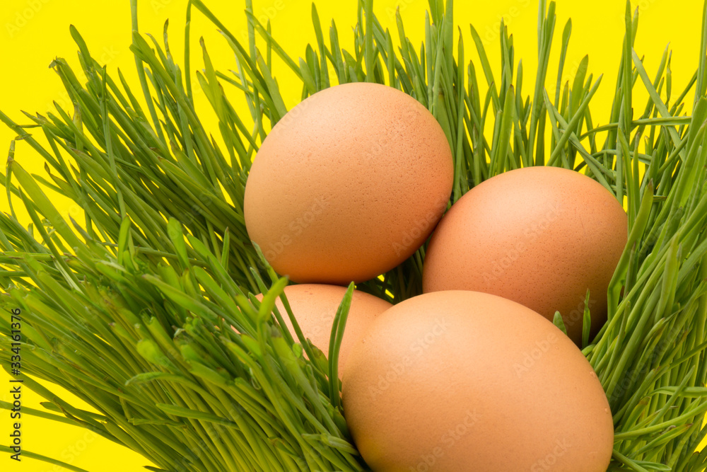 Brown eggs on green grass, isolated on yellow background Brown eggs on green grass, isolated on yellow background